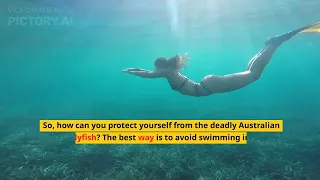 Top 10 Most Dangerous Jellyfish: Here are the top 10 cute ones with the most painful stings