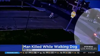 Police Searching For Shooter Who Killed Man Walking His Dog In Mid-City