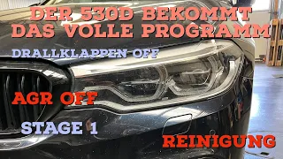 BMW G30 530d B57 Motor - Stage 1, AGR off, Drallklappen off und eine komplette Reinigung - 540d 550d