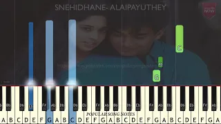 SNEHIDHANE - ALAIPAYUTHEY (EASY TO PLAY) VERSION