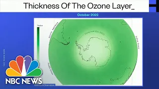 Scientists say restoration of the ozone layer is back on track