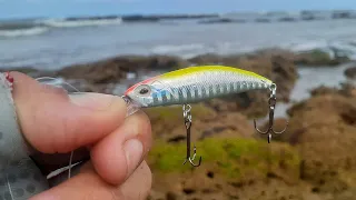 pescaria UltraLight nas pedras da praia com micro isca