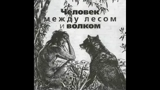 Человек между лесом и волком.