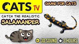 GAME FOR CATS - Realistic Salamander 🦎 3 HOURS [CATS TV]