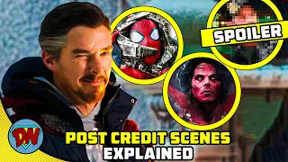 Spider-Man No Way Home Post Credit Scenes & Ending | Explained in Hindi