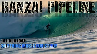 Surf, Study and Sleep - 🌴10 Hours of Some of the BEST Banzai Pipeline Surfing