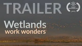 WETLANDS WORK WONDERS! - TRAILER