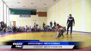 Соревнования по вольной борьбе для юниоров прошли в Пинске