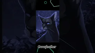 What your favorite warrior cat says about you!