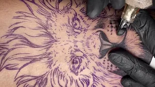 Lion tattoo | Time lapse