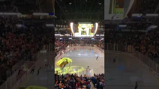 Live nashville predators goal horn