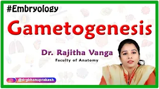 Gametogenesis - Introduction to Embryology