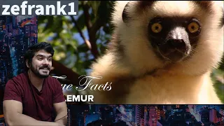 True Facts: The Lemur (zefrank1) CG Reaction