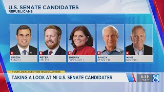 Taking a look at MI U.S. Senate candidates