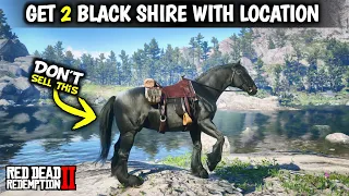 Double Black Shire Rare Horse Location | Red dead redemption 2 |