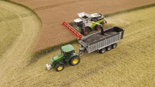 Cieszymowo Żniwa - Rzepak 5X Claas Lexion