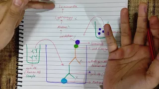 CHEMILUMINESCENCE IMMUNO ASSAY