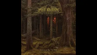 Northern Silence- Cân Bardd - Devoured By The Oak-  Video Review