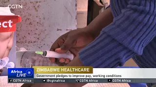 Zimbabwe hospital services resume as nurses end nationwide strike