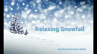 Relaxing Snowfall !  Beautiful Falling Snow || The Best Relax Music|| Sleep Music,