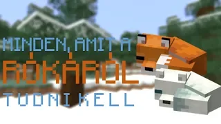 Minecraft: Minden, amit a Rókáról tudni kell!