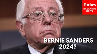 Bernie Sanders 2024? The Answer May Surprise You