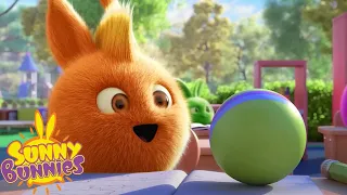 SUNNY BUNNIES - MAGIC BALL | SEASON 7 HITS | Cartoons for Kids