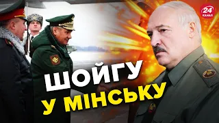 💩ШОЙГУ терміново прилетів у Білорусь / ЛУКАШЕНКО плаче про "нападєніє"