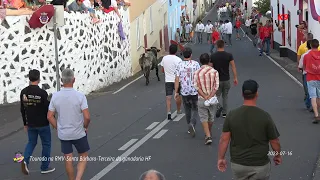 Tourada na Ribeira do Manuel Vieira-Santa Bárbara-Terceira (2023-07-16) de HF