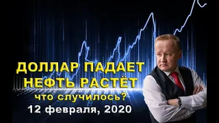 ДОЛЛАР ПАДАЕТ, НЕФТЬ РАСТЁТ. ПРИЧИНЫ И ПЕРСПЕКТИВЫ (обзор от 12 февраля, 2020)