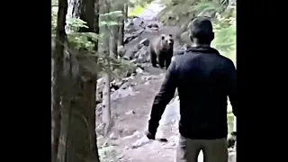 Grizzly Bear follows hikers at Glacier National Park😢😢