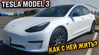 Что Вы хотели знать о Tesla Model 3  | Ответы на вопросы