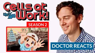 Real Doctor Reacts to CELLS AT WORK! // Season 2 Episode 1 // "Bump"