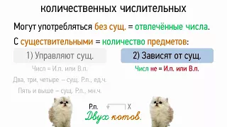 Синтаксические особенности количественных числительных (6 класс, видеоурок-презентация)