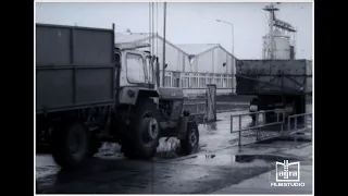 "Industriemäßige Jungrinder Aufzucht" Teil 2 Nutzung der Anlage DDR 1970