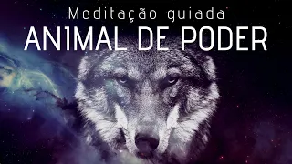 🐺 MEDITAÇÃO GUIADA para encontrar seu ANIMAL DE PODER (música xamânica, flauta indígena)