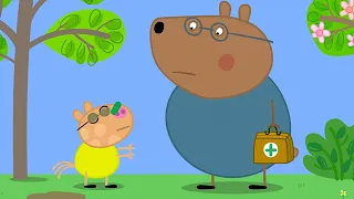 Pedro's Visit From The Doctor 🩺 | Peppa Pig Official Full Episodes