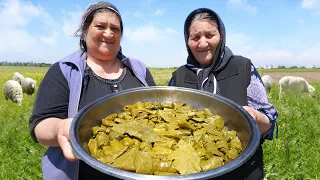 Grandma Cooked Stuffed Grape Leaves | Traditional Azerbaijani Cuisine | ASMR Food | Outdoor Cooking