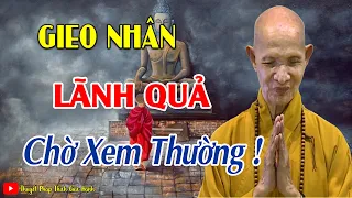 Tạo Nghiệp Lãnh Quả Là Quy Luật Tự Nhiên, Không Thể Tránh Khỏi Trong Cuộc Đời _ HT Thích Giác Hạnh