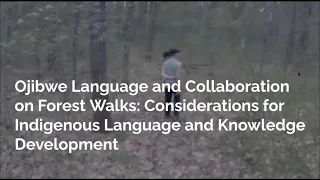 Ojibwe Language and Collaboration on Forest Walks:  Indigenous Language and Knowledge Development