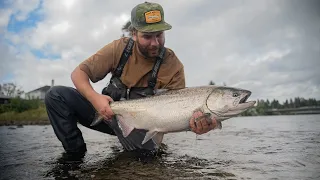 fly fishing for chinook salmon