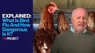 EXPLAINED: What Is Bird Flu And How Dangerous Is It?