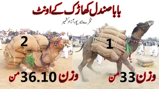 Camel Weightlifting in Pakistan | Akharah Camel weight | Baba Sandal  33 Man,36.10 Man Weightlifting