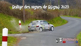 Rallye des vigne de Règnié 2023 - Crash & mistakes