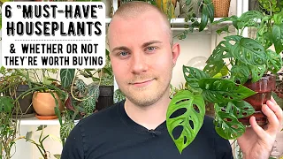 6 "Must-Have" Houseplants -- And If They're Actually Worth Purchasing
