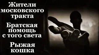 Истории на ночь (3в1): 1.Жители московского тракта, 2.Братская помощь с того света, 3.Рыжая кошка