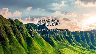 Ayatul Kursi (The Throne) | Recited in Tarawih at Time Square by Faisal Latif