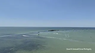 Hernando Beach, Florida Flight to The Flats