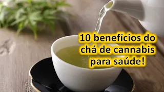 10 benefícios do chá de cannabis para saúde!