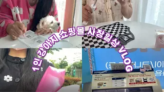 [쇼핑몰 vlog] 초보사장 일상 브이로그 /포장asmr /입고지연 /에이블리 /스마트스토어/ 처음만난 할머니랑 동물병원 같이가다